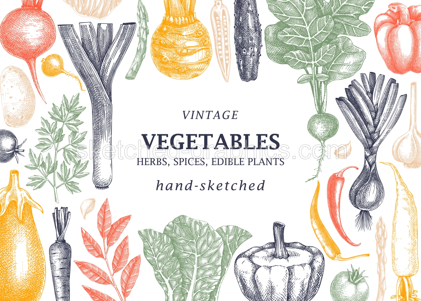 Hand-sketched Vegetable vintage frame. Hand-drawn tomatoes, squashes, peppers, potatoes, asparagus and other vegetables drawings. Healthy food background for menu, recipe, restaurant, packaging. Illustration